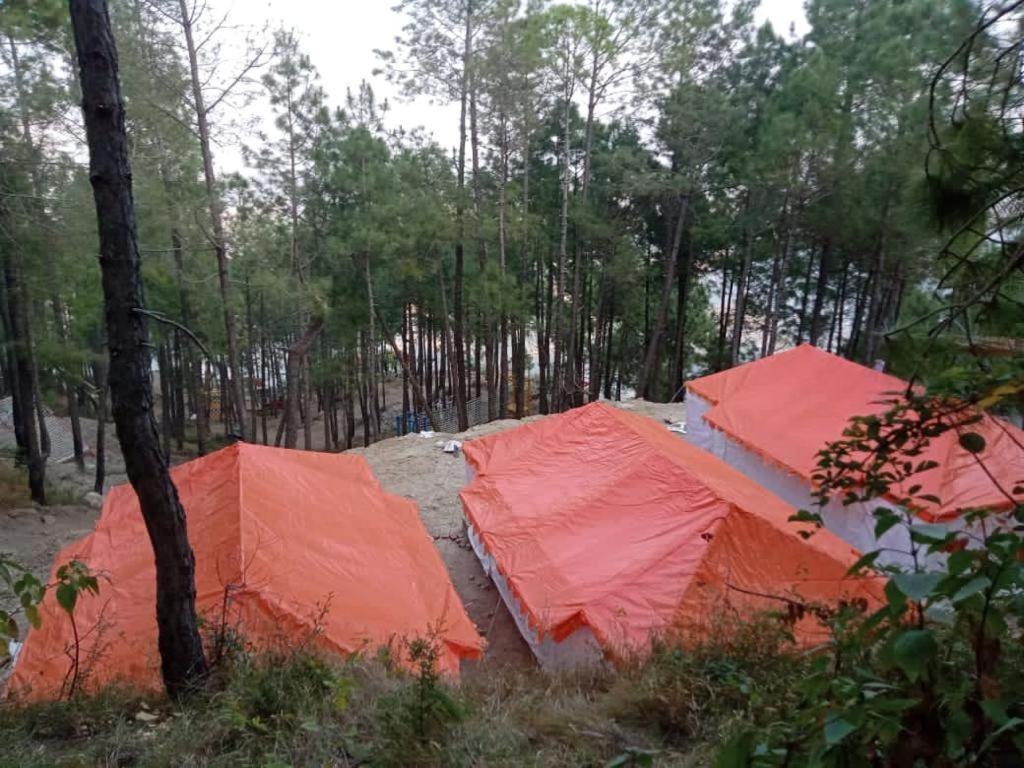 amravati resort Solan Esterno foto